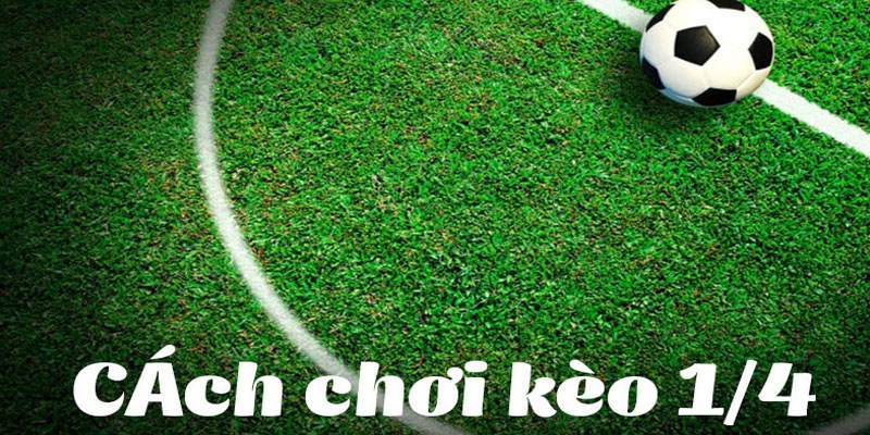 Cách đặt cược tỷ lệ Handicap 0-0.5 cơ bản