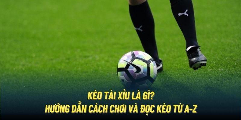 kèo tài xỉu là gì